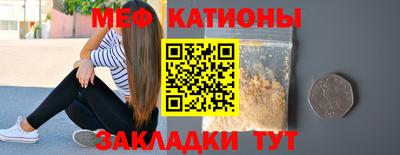 шишки Камышлов