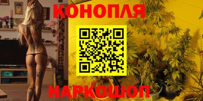 шишки Камышлов