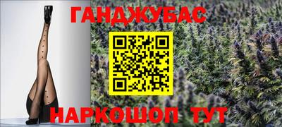 шишки Камышлов