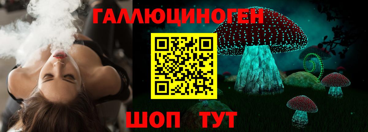 Псилоцибиновые грибы мицелий Барабинск